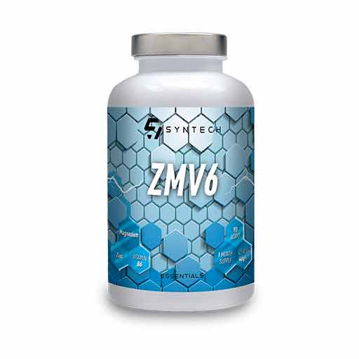 Syntech ZMV6